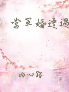 当军婚遭遇爱情