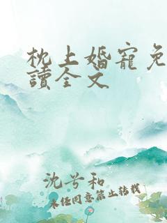 枕上婚宠免费阅读全文