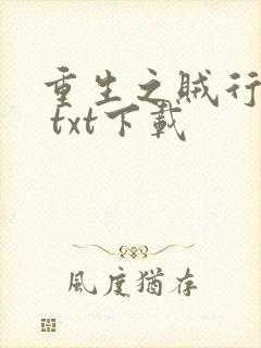 重生之贼行天下 txt下载