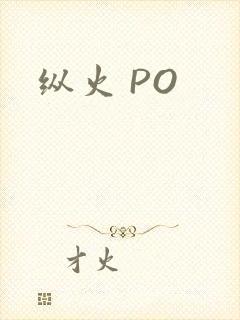 纵火 PO
