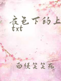 夜色下的上海滩 txt
