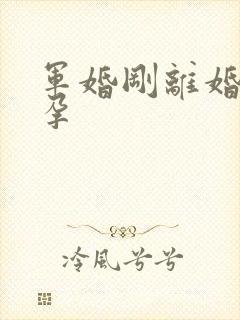 军婚刚离婚就怀孕