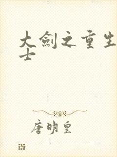 大剑之重生圣骑士