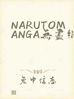 NARUTOMANGA无尽纲手