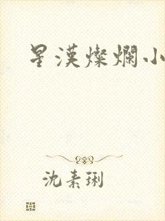 星汉灿烂小说