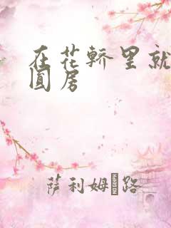 在花轿里就开始圆房