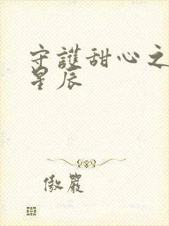 守护甜心之暗夜星辰