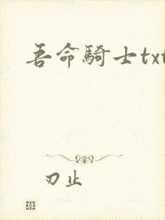 吾命骑士txt