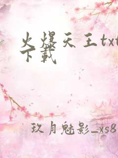 火爆天王txt下载