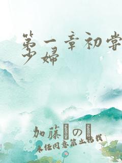 第一章初尝云雨少妇