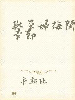 与孕妇梅开三度章节