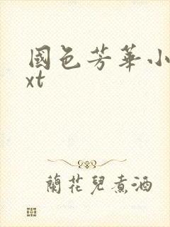 国色芳华小说txt