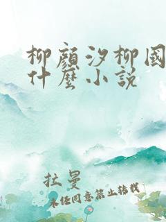 柳颜汐柳国安是什么小说