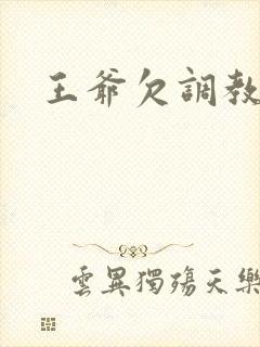 王爷欠调教