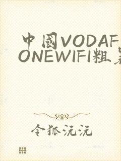 中国VODAFONEWIFI粗暴APP