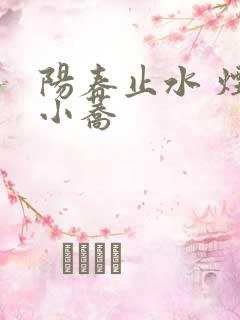 阳春止水 烟树小荞