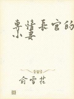 专情长官的天价小妻