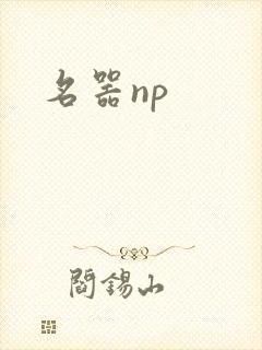 名器np