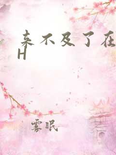 来不及了在车CH