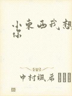 小东西我想弄坏你