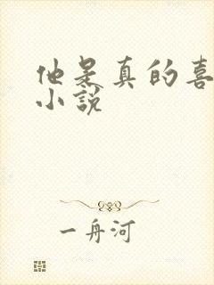 他是真的喜欢你小说