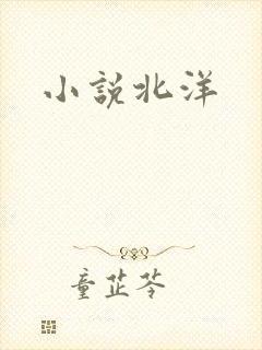 小说北洋