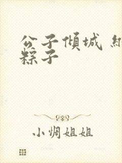 公子倾城 维和粽子