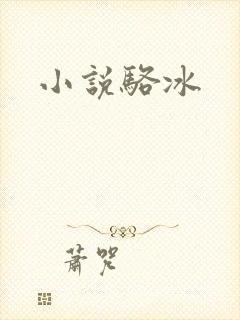 小说骆冰
