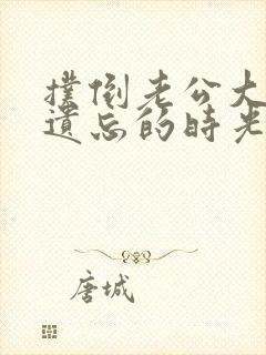 扑倒老公大人在遗忘的时光里重逢