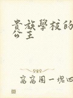 贵族学校的双面公主