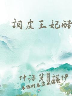 调皮王妃酷王爷