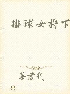 排球女将下载