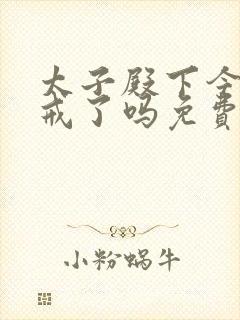 太子殿下今天破戒了吗免费阅读