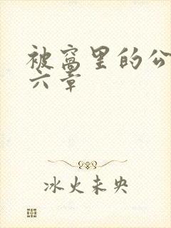 被窝里的公息第六章