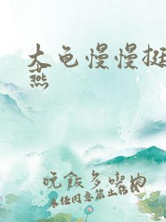 大龟慢慢挺进张燕