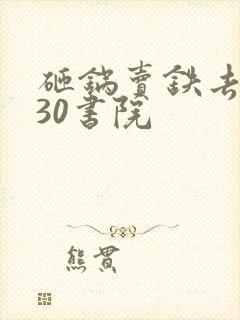 砸锅卖铁去上学30书院