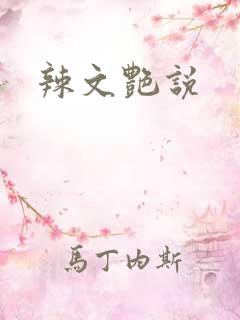 辣文艳说