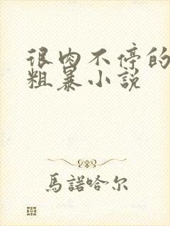 很肉不停的做很粗暴小说