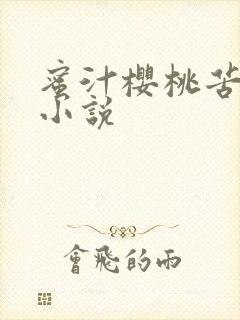 蜜汁樱桃苦咖啡小说