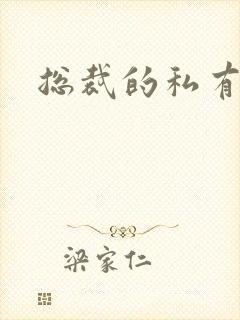 总裁的私有宝贝