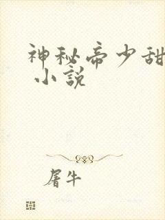 神秘帝少甜宠妻 小说