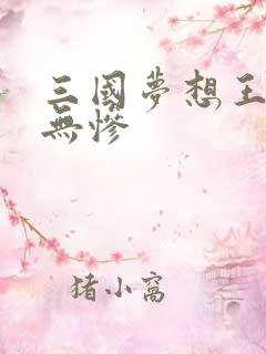 三国梦想王元姬无惨