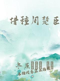 借种周楚臣