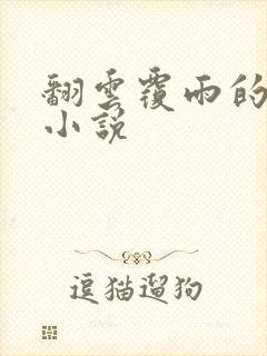 翻云覆雨的秘密小说