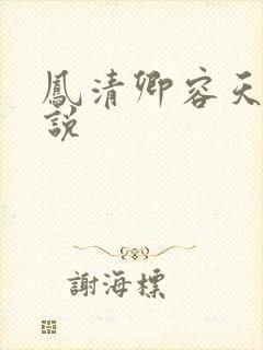凤清卿容天凌小说