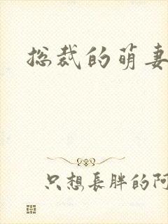 总裁的萌妻欢宝