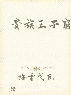 贵族王子穷公主