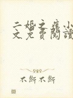 二婚之痒小说全文免费阅读