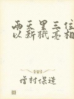 两天里三位将军以新职亮相