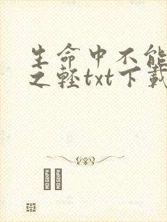 生命中不能承受之轻txt下载